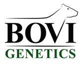 Bovi Genetics